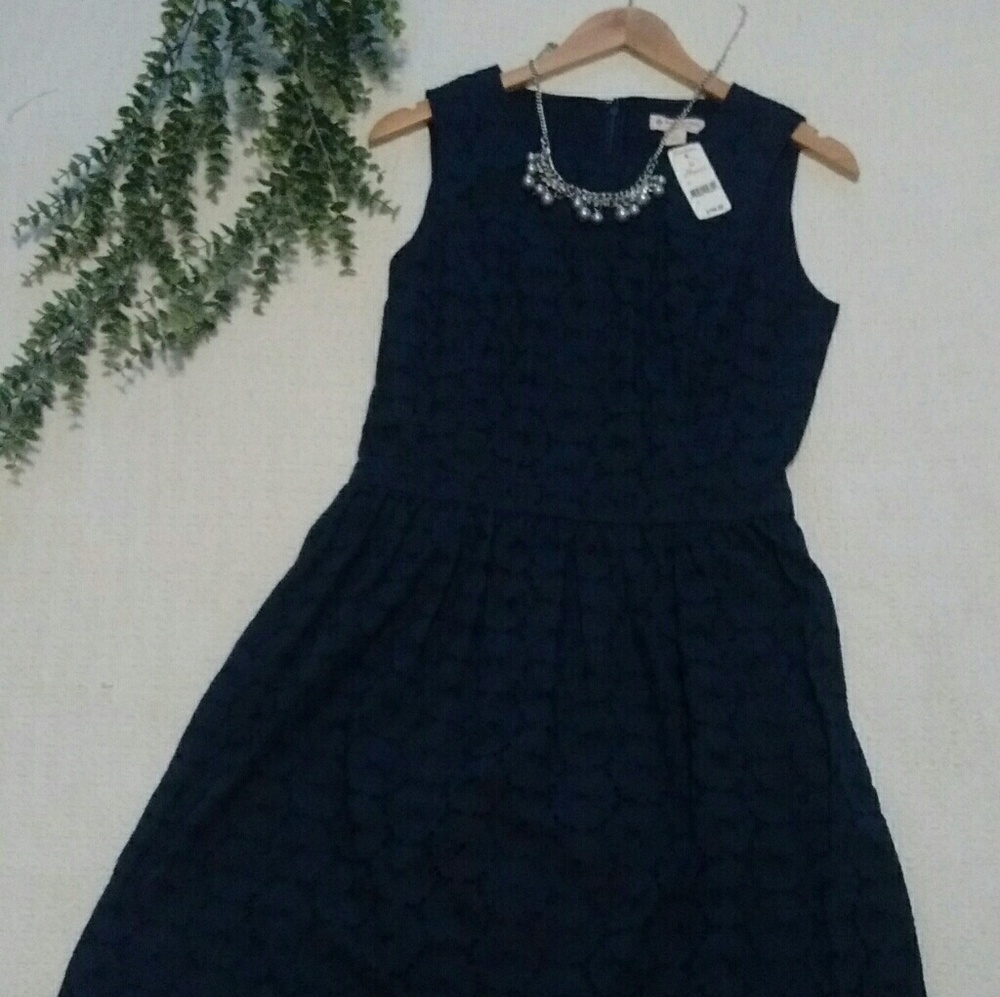 NWT Brooks Brothers Dress